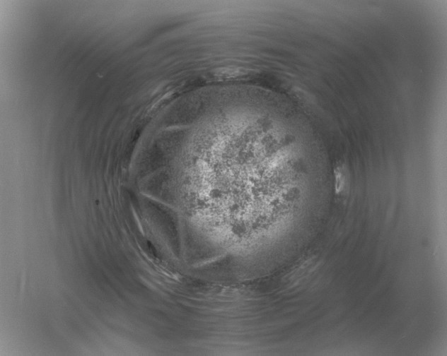 X0000061111011200512022120