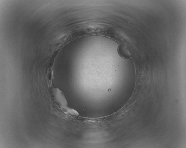 X0000061111013200512022120