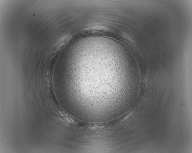 X0000061111014200512022120