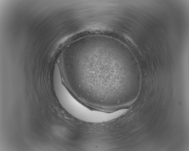 X0000061111016200512022120