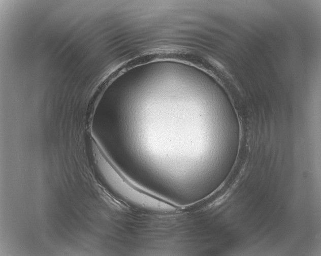 X0000061111017200512022120