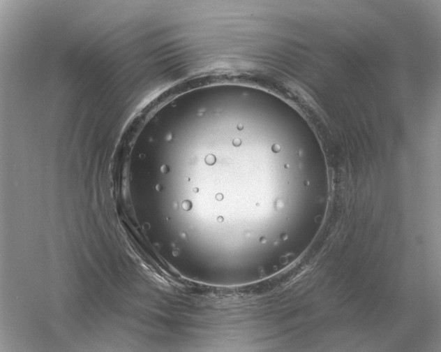 X0000061111018200512022120