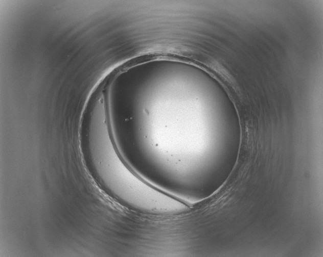 X0000061111020200512022120