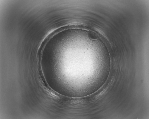 X0000061111021200512022120