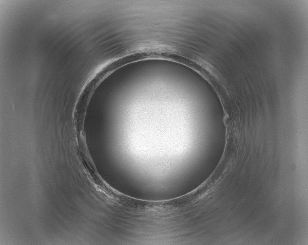 X0000061111022200512022120