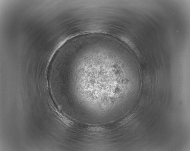 X0000061111023200512022120