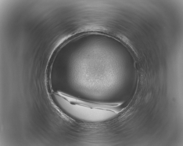 X0000061111024200512022120