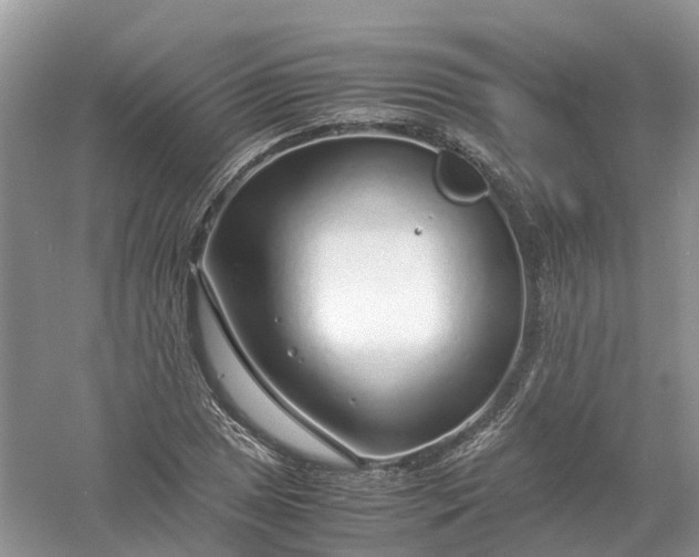 X0000061111025200512022120