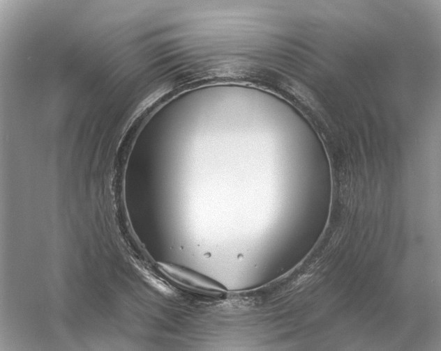 X0000061111026200512022120