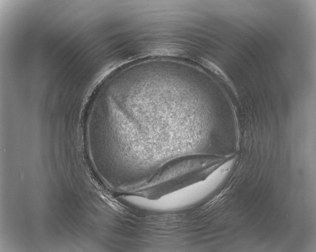 X0000061111027200512022120