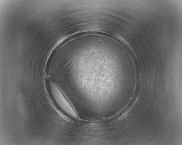 X0000061111029200512022120