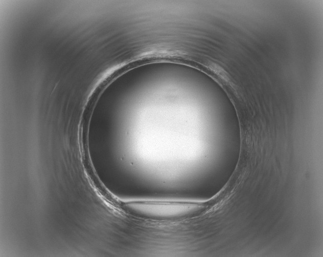 X0000061111030200512022120