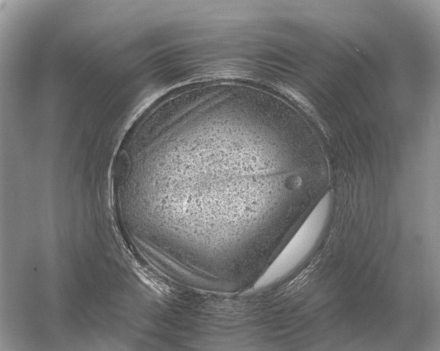 X0000061111031200512022120