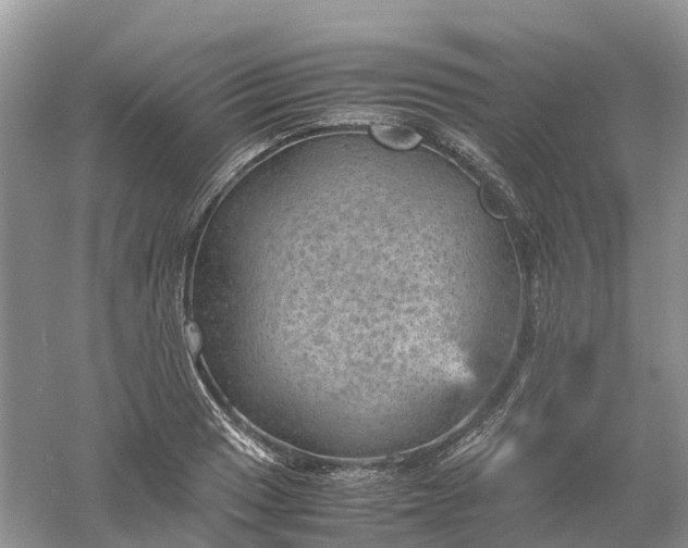 X0000061111033200512022120