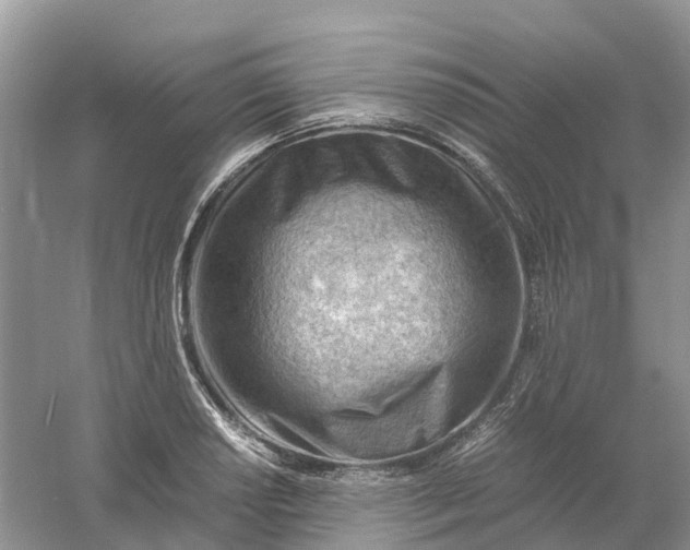 X0000061111034200512022120