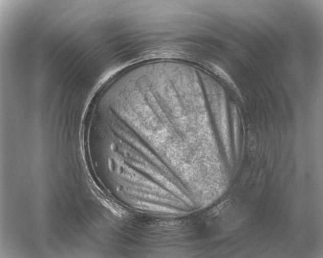 X0000061111035200512022120