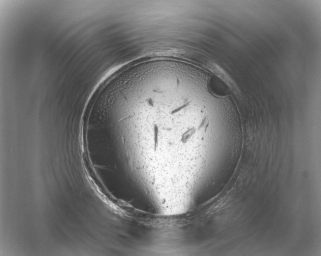 X0000061111036200512022120