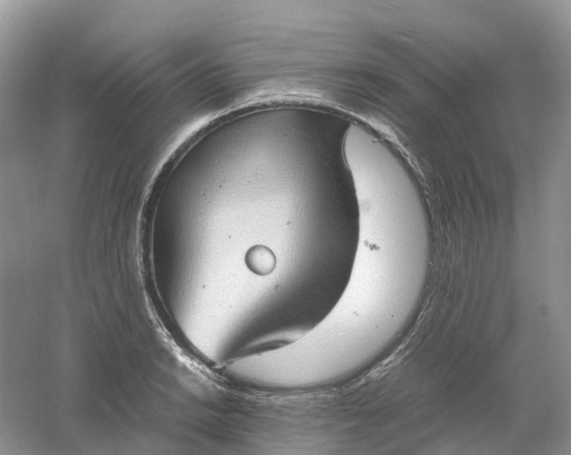 X0000061111038200512022120