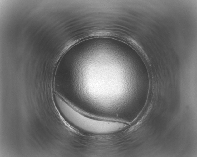 X0000061111041200512022120