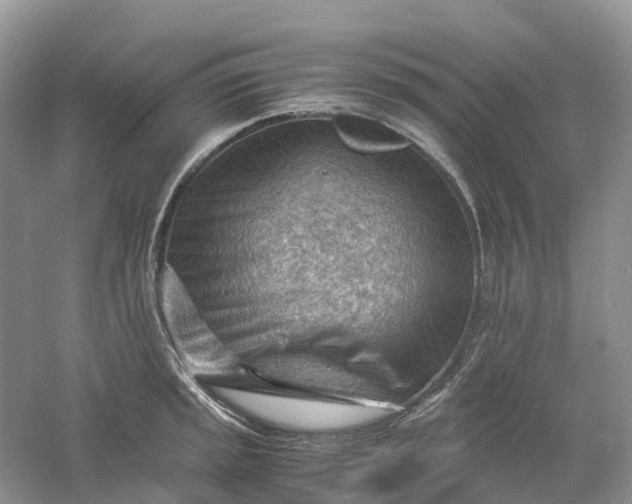 X0000061111045200512022120