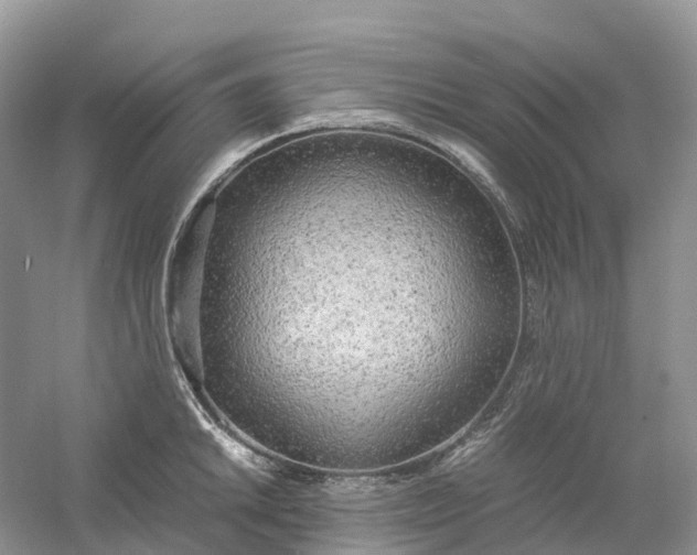 X0000061111046200512022120