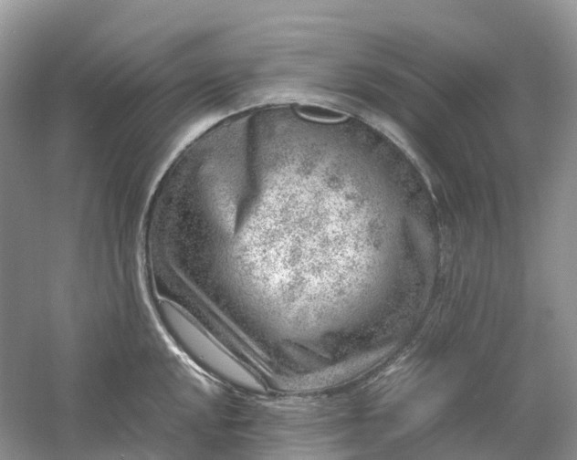 X0000061111048200512022120