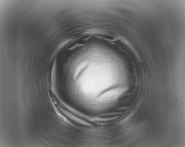 X0000061111049200512022120