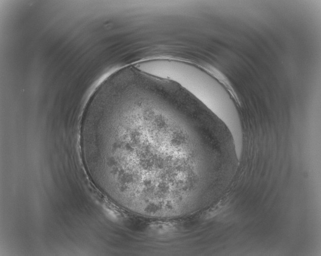 X0000061111051200512022120