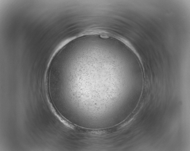 X0000061111053200512022120