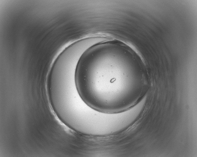 X0000061111054200512022120