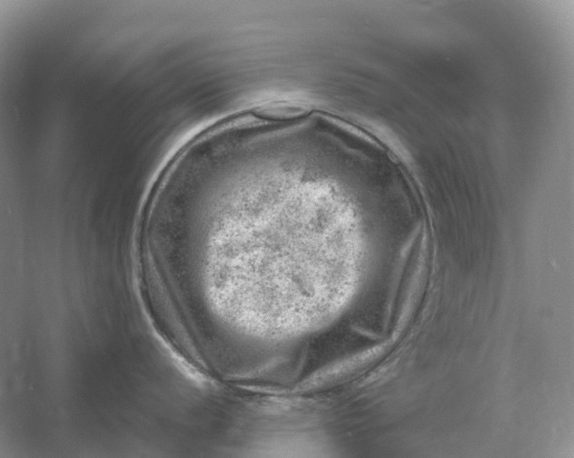 X0000061111056200512022120