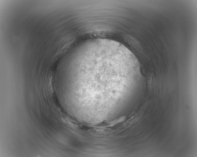 X0000061111060200512022119