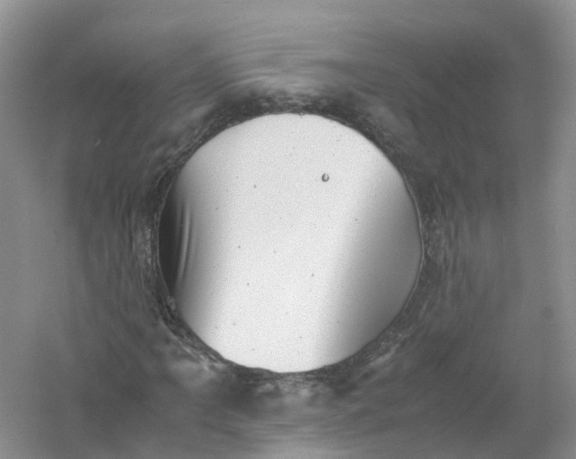 X0000061111061200512022119