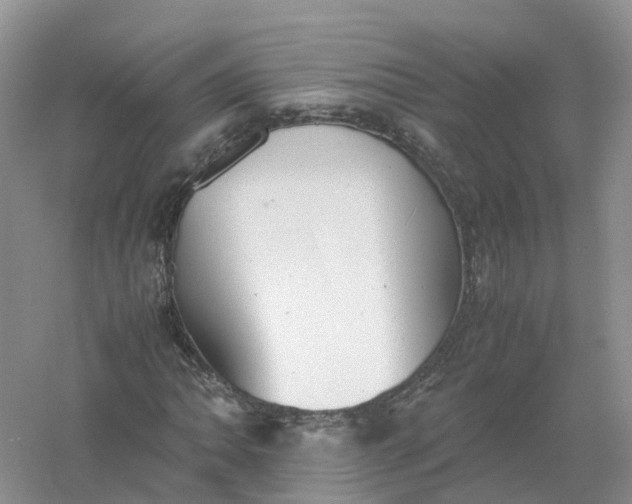 X0000061111062200512022119