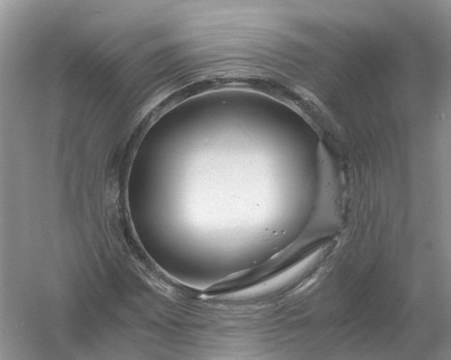 X0000061111065200512022119