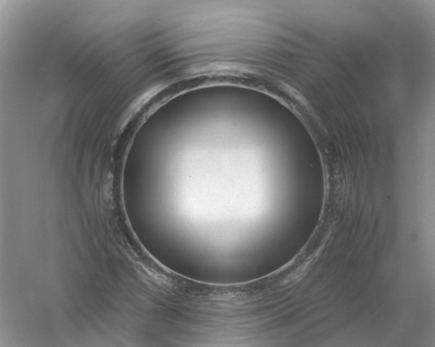 X0000061111066200512022119