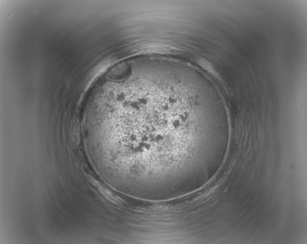 X0000061111067200512022119