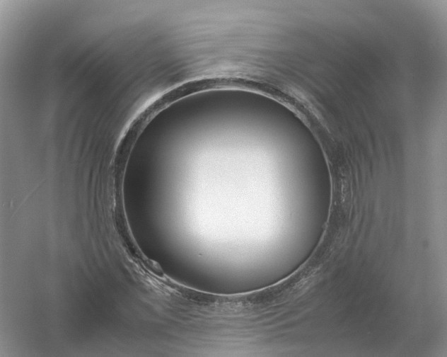 X0000061111069200512022119