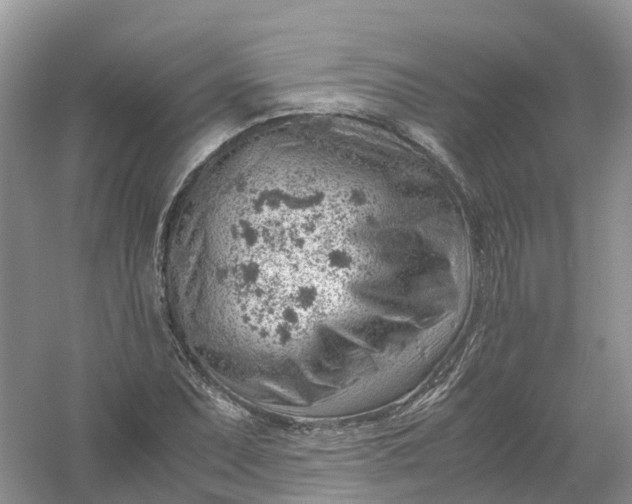 X0000061111071200512022119