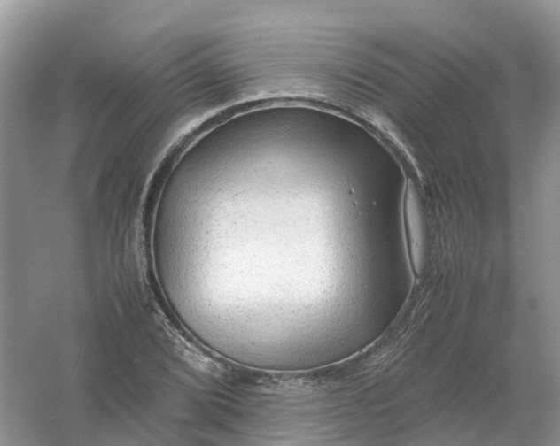 X0000061111072200512022119