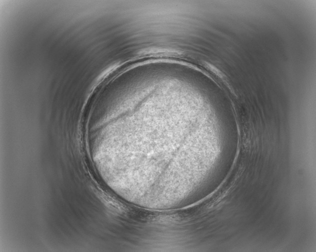 X0000061111074200512022119