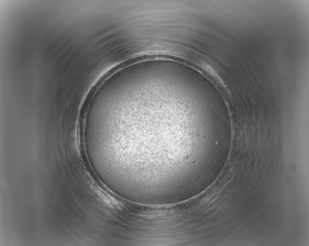 X0000061111076200512022119