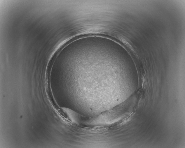 X0000061111077200512022119