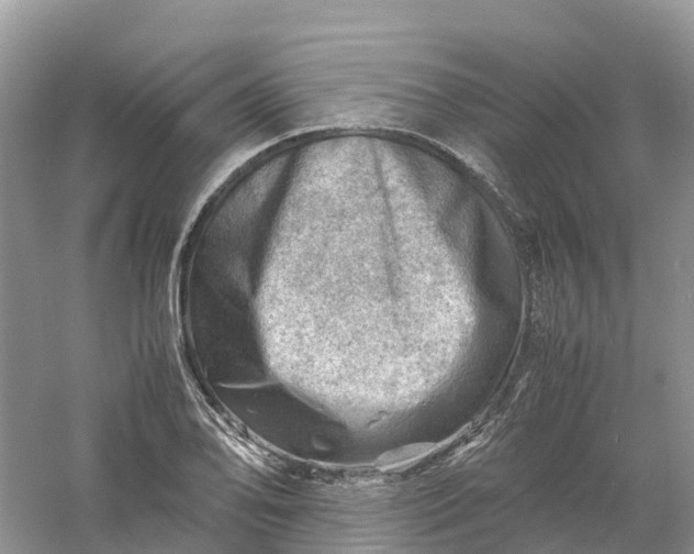 X0000061111078200512022119