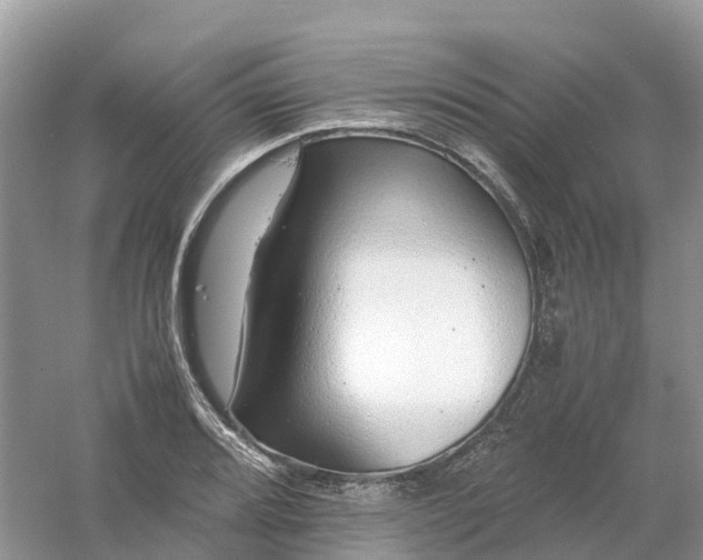 X0000061111080200512022119