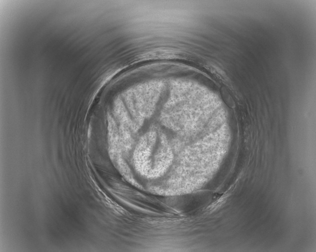 X0000061111081200512022119