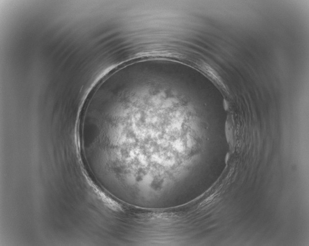 X0000061111084200512022119