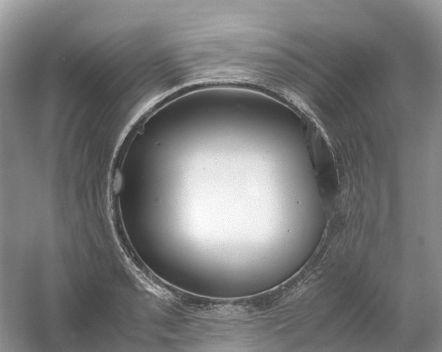 X0000061111085200512022119