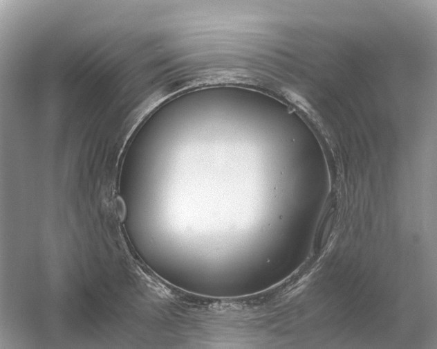 X0000061111089200512022119