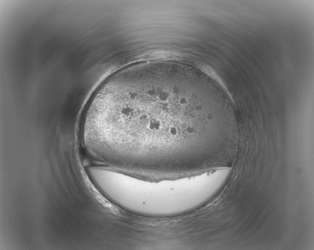 X0000061111091200512022119